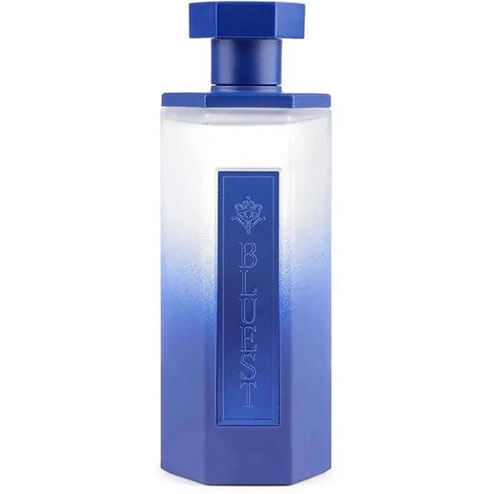 Reef Bluest For Men | Eau De Parfum 200ml | Reef Perfumes