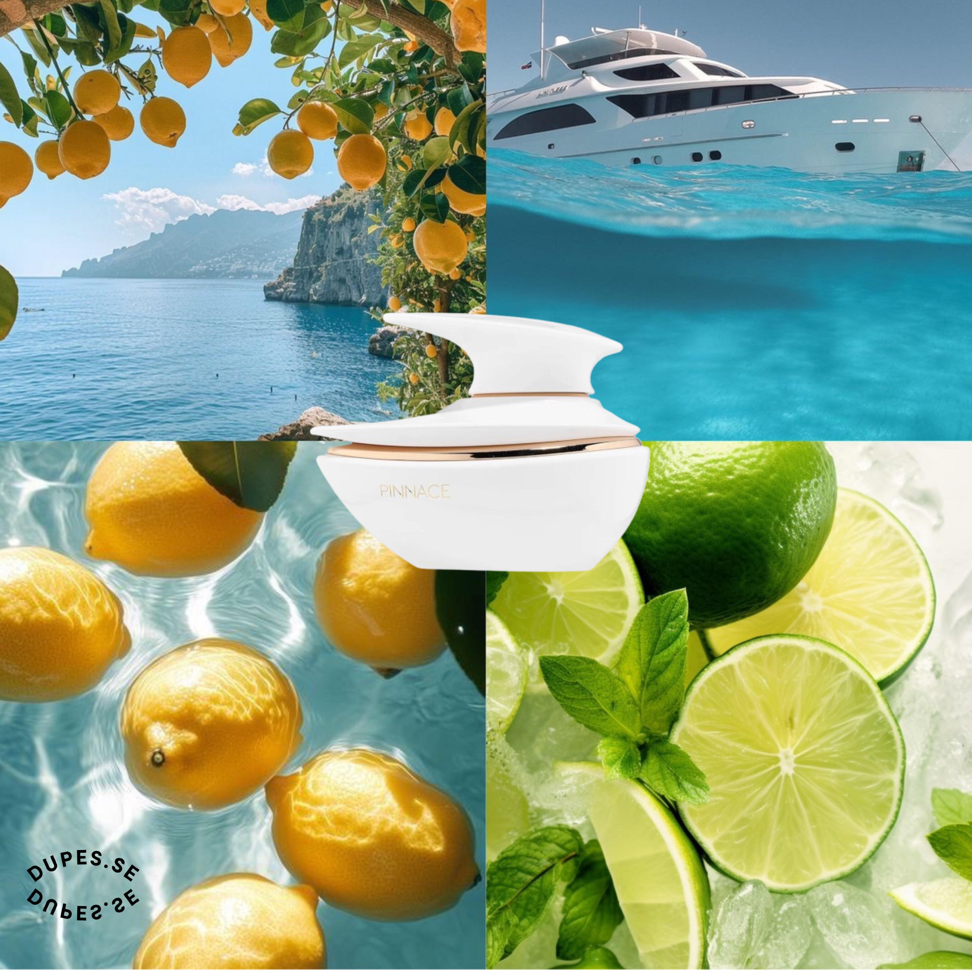 Pinnace French Avenue edp 100ml